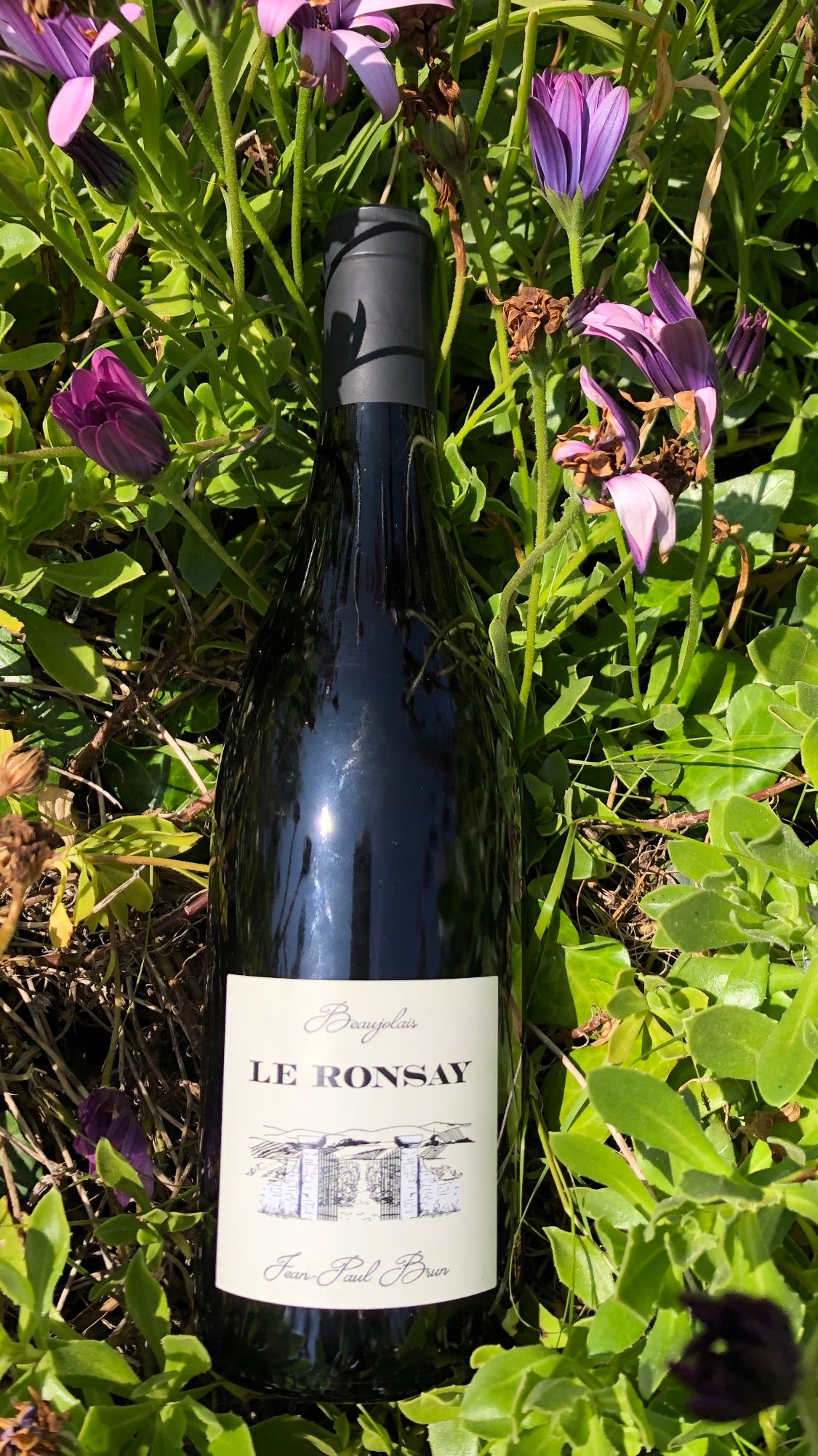 Beaujolais 'Le Ronsay' Rouge - Jean-Paul Brun