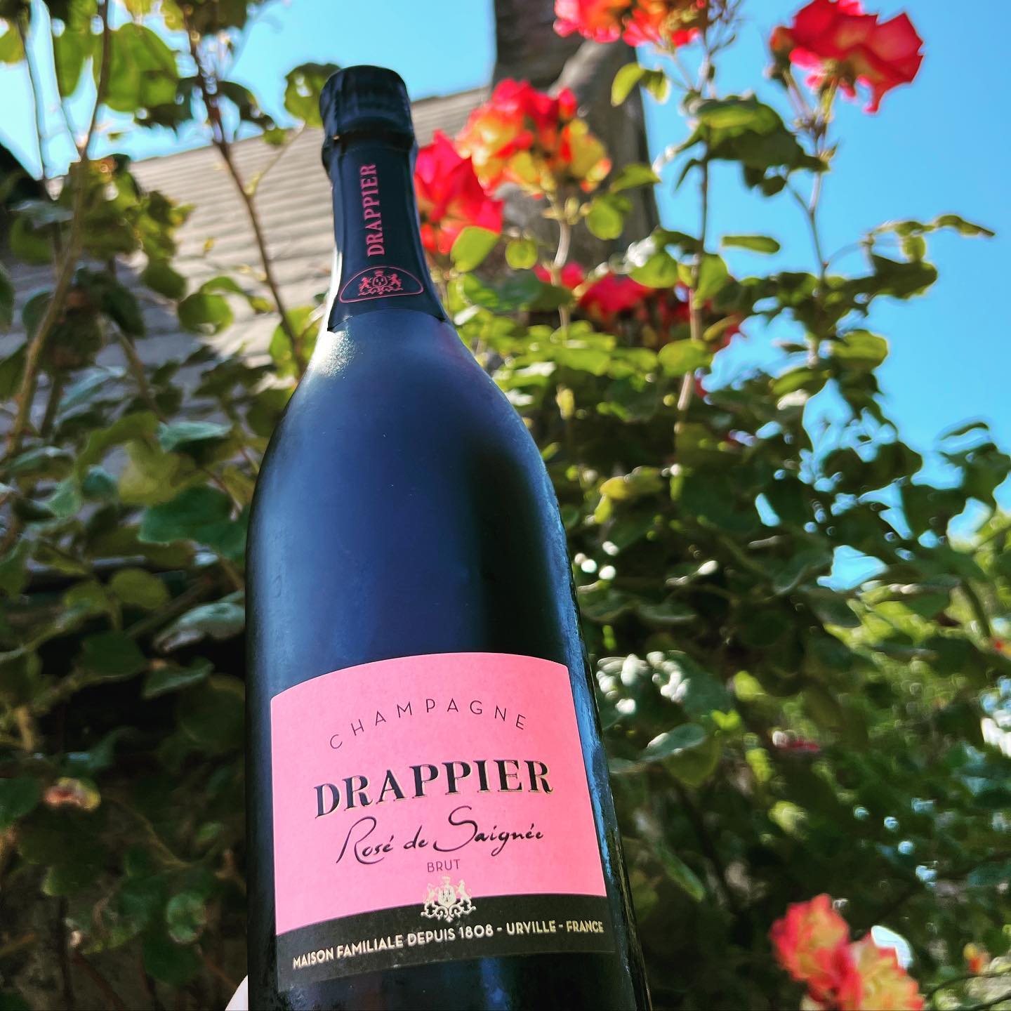 Drappier Rose de Sagnee Brut N/V – The Wine Seller Guernsey