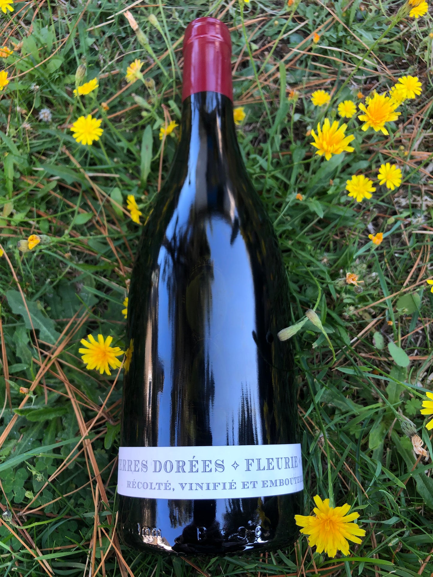 Terres Dorées - Fleurie by Jean-Paul Brun 2023/4