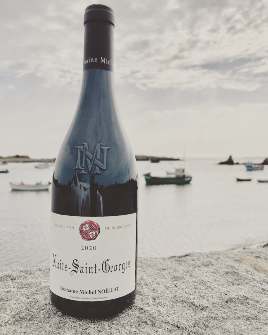 Domaine Michel Noëllat & Fils – Nuits-Saint-Georges 2023