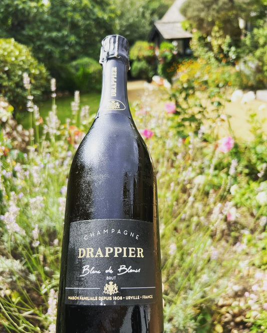 Drappier Signature Blanc De Blancs Brut N/V