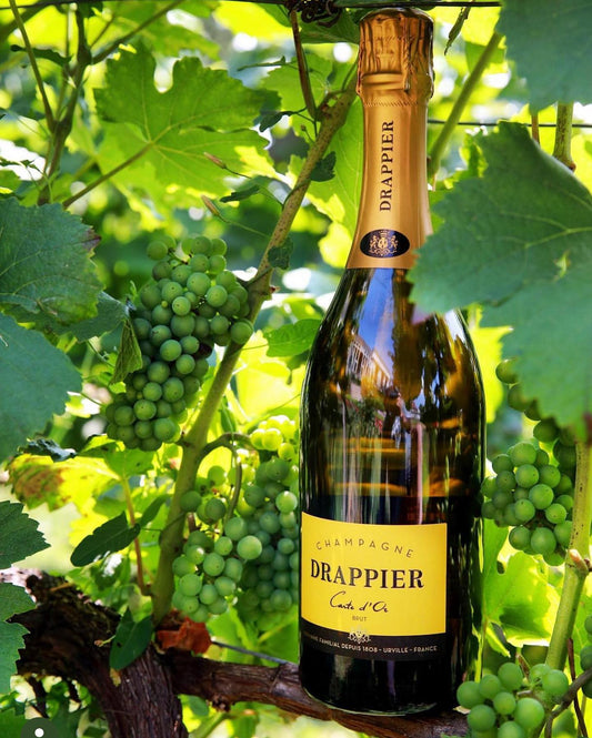 Drappier Carte D’or Brut – half bottle